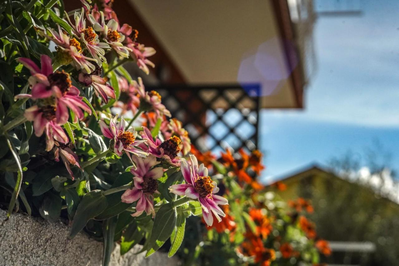 Agriturismo La Rocca San Bartolomeo Al Mare Exterior foto